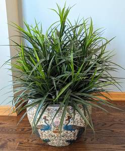 lot 14 image: Beautiful Chinese Ceramic Peacock Planter