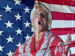 lot 15A image: New 3 x 5 WWE Ric Flair Wooooo WWF Wrestling USA Flag WCW O