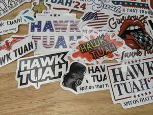lot 41B image: 55 Brand New HAWK TUAH Quote Funny Phrase Stickers N