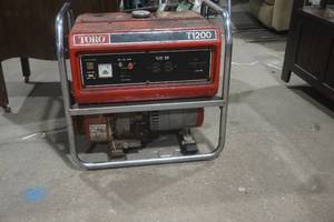 lot 10 image: Toro generator