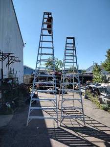 lot 380 image: 12 and 16 aluminum folding ladders. Load capacity 300 LBS
