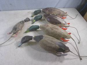 lot 151 image: (EW4) Dokken Water & Field Dead Fowl Dog Training Ducks 4 Large1 Puppy