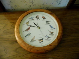 bird clock...