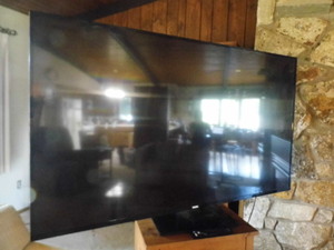 65 Phillips smart tv wremote stan...
