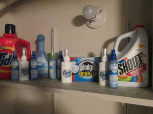 Shelf filled with laundry supplies...