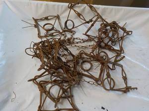 12 Muskratsmall Animal Steel Traps...
