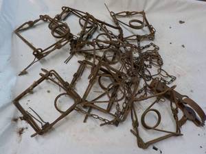 9 Muskratsmall Animal Steel Traps...