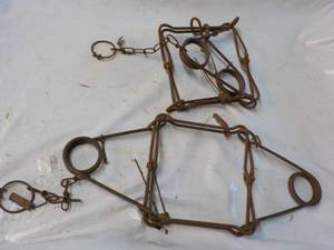 2 Muskratsmall Animal Steel Traps...