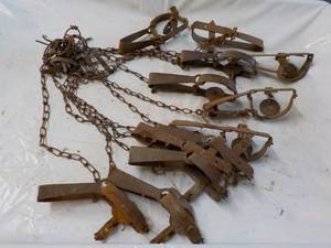 12 Steel Animal Traps...