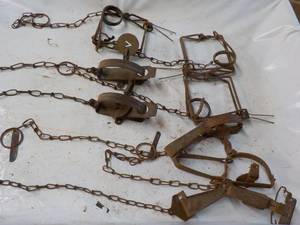 9 Steel Animal Traps...