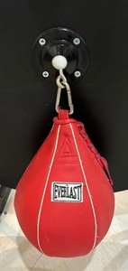 lot 90 image: Everlast Punching Bag with Mount