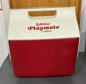 lot 160 image: Coolers by Igloo and Rubbermaid