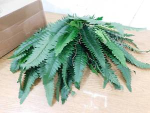lot 104 image: Nearly Natural 40 in. Artificial Boston Fern (Set of 2)