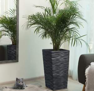 lot 546 image: Worth Garden Black Tall Tree Planter - Plastic Square Tapered Plant Pot