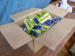 Box of Mister Twister Fightin Crawdad Lures