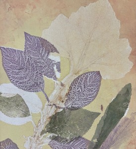 lot 185 image: Fine Floral Unframed Print