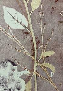 lot 186 image: Beautiful Floral Unframed Print