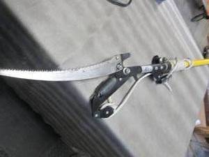 lot 255 image: Pole Saw...