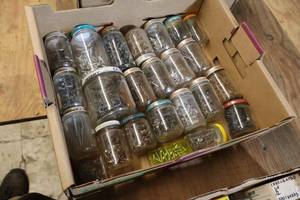 lot 255 image: Lot of (1 Box) Assorted Fasteners - Nails and Screws (in jars)