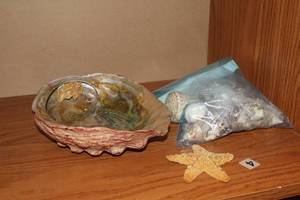 lot 1103 image: Decorative Shell Dish and One Bag of Shells