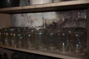 lot 440 image: Lot of (30) Ball 5 Mason Jars (no lids)