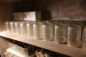 lot 442 image: Lot of (33) Ball 4 Mason Jars with 2 Packs of 12 Decorative Dome Lids and Regular Bands for Quilted Crystal jelly jars (24 total)