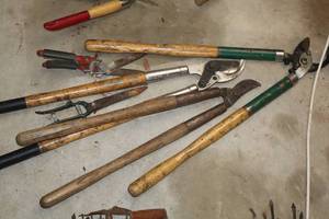 lot 1277 image: Lot of (5) Assorted Bypass Loppers
