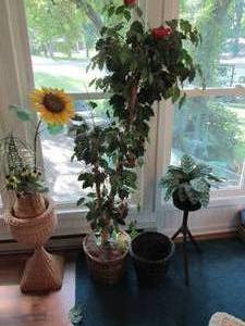 lot 106 image: Collection of artificial plants wit...