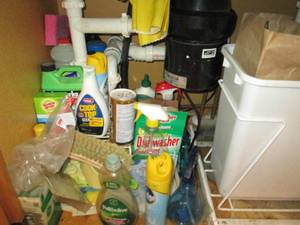 lot 137 image: All cleaners and supplies under kit...