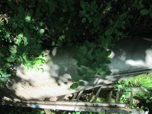 lot 80 image: 1974 Alumicraft 17ft canoe...