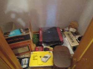lot 261 image: Contents of second bedroom closet a...