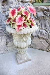 lot 83 image: Lawn Garden & Patio DeCorHeavy Concrete Urn-Style Planter wFoliage