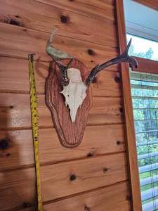 lot 93 image: Three Point White Tail Rack