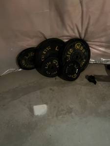 lot 77 image: Sturdy Bench Press, Weights, & EZ-Bar