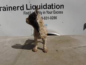 lot 68 image: Vintage Cast Iron Dog Figurine