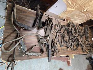 lot 50 image: Large Lot of Leather Horse Straps, Harnesses, Bits Etc