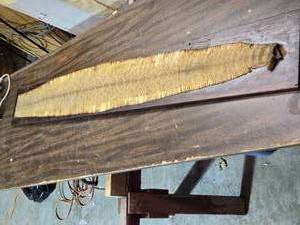 lot 195 image: 71 Rattlesnake Skin with Rattles Still Intact