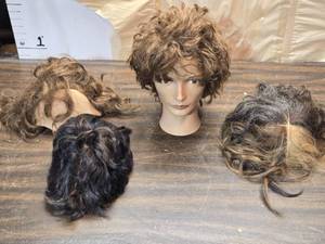 lot 242 image: Cosmetology Hairstylist Practice Head with Many Different Hair Styles