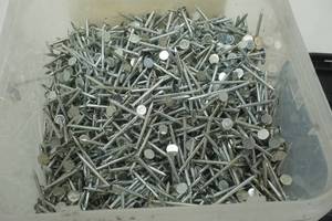 lot 100 image: nails