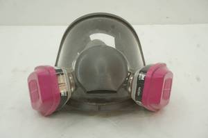 lot 110 image: mask
