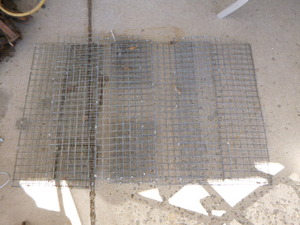 4 Colony Muskrat Traps
