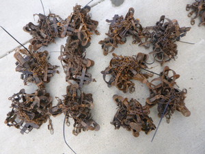 Duke 1 12 Jaw Coil Spring Traps