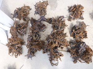 Duke 1 12 Jaw Coil Spring Traps