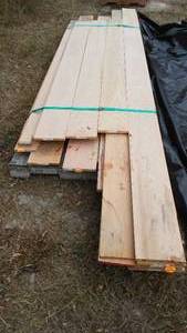 lot 955 image: Red Oak (approx. 35 pcs)