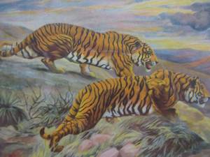 lot 447 image: Vintage R. Atkinson Fox Elmer Lewis Tiger Print  On A Trail 11.5