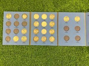 Liberty Standing Half Dollar Collection (19 Coins)