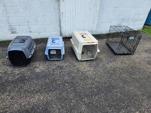 lot 52 image: Lot of (4) Animal CratesCages - Pet Taxi, iCrate