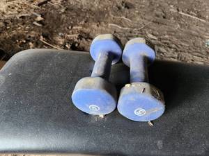 lot 80 image: Lot of (2) Dumbbells