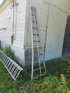 lot 99 image: Orchard Ladder