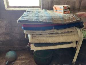 lot 37 image: Lot of (12) Saddle Pads
